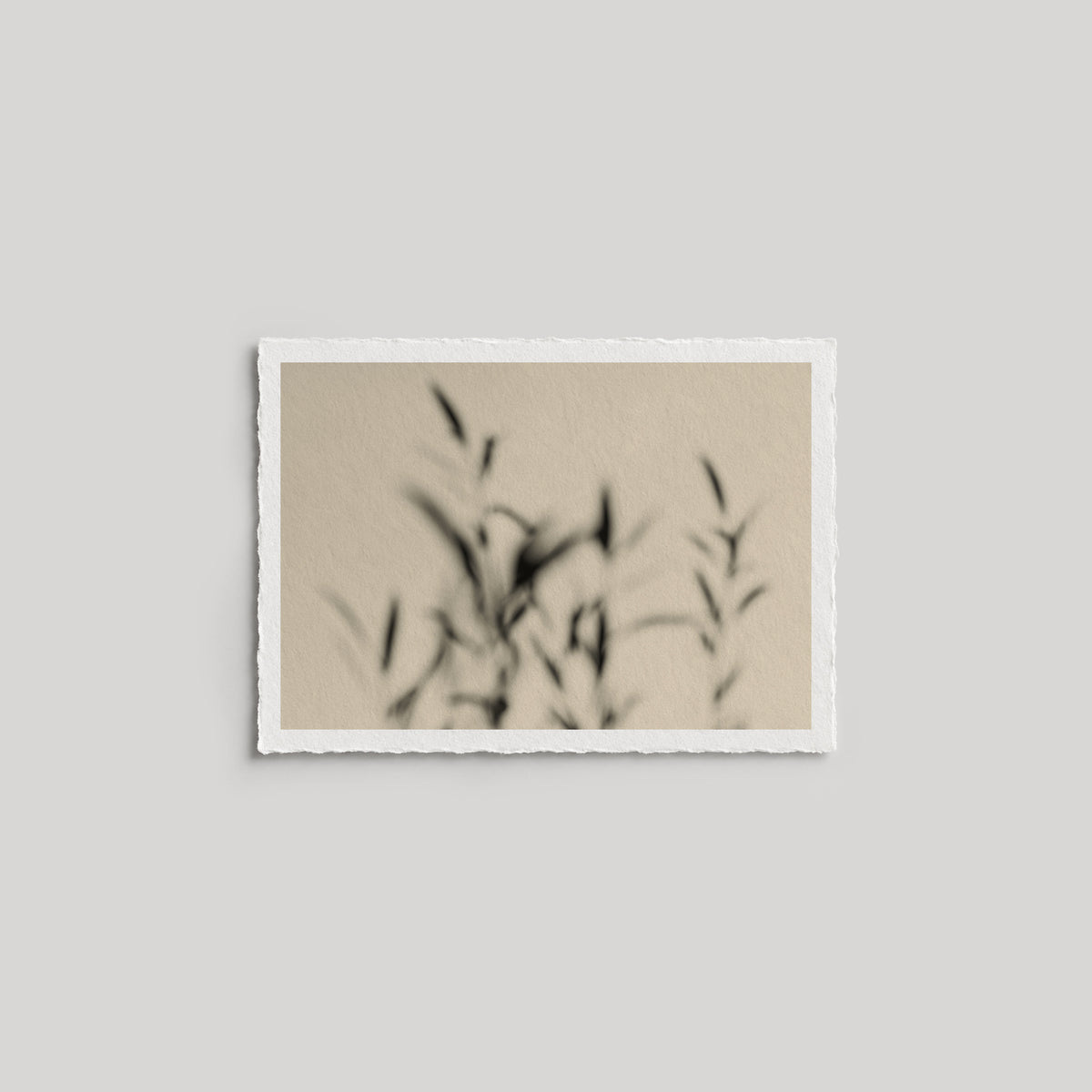 No. 006